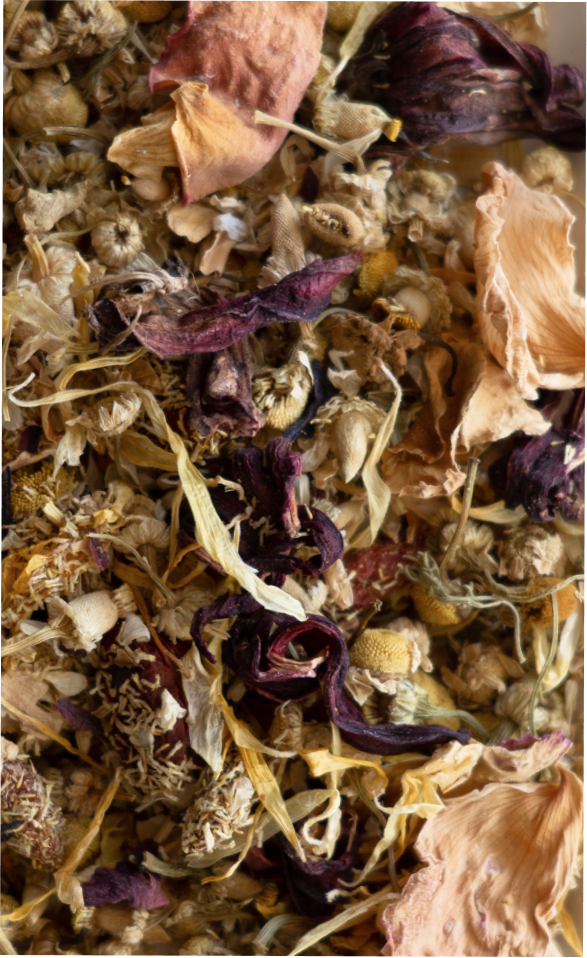 Amber & Gold Radiance Tea