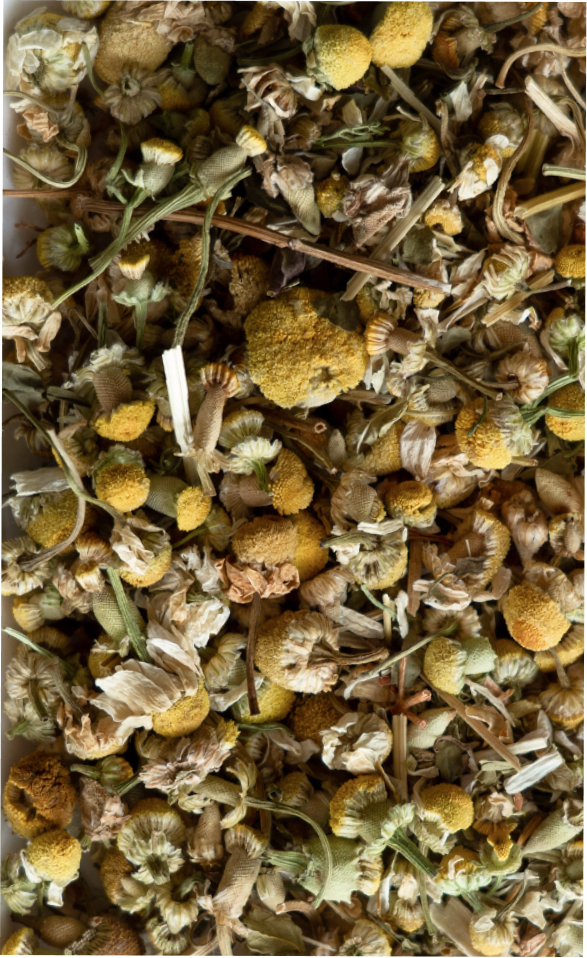 Amber & Gold Sleep Support Tea