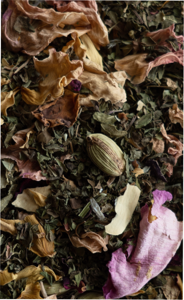 Amber & Gold Lady Moon Tea