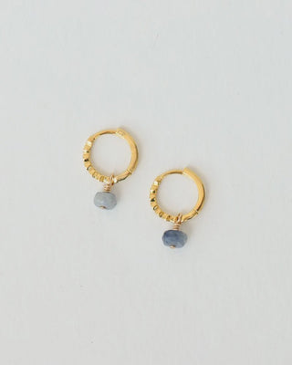 Belle Hoops with Blue Sapphires - Tea & Tonic Matakana - Charlotte Penman Jewellery
