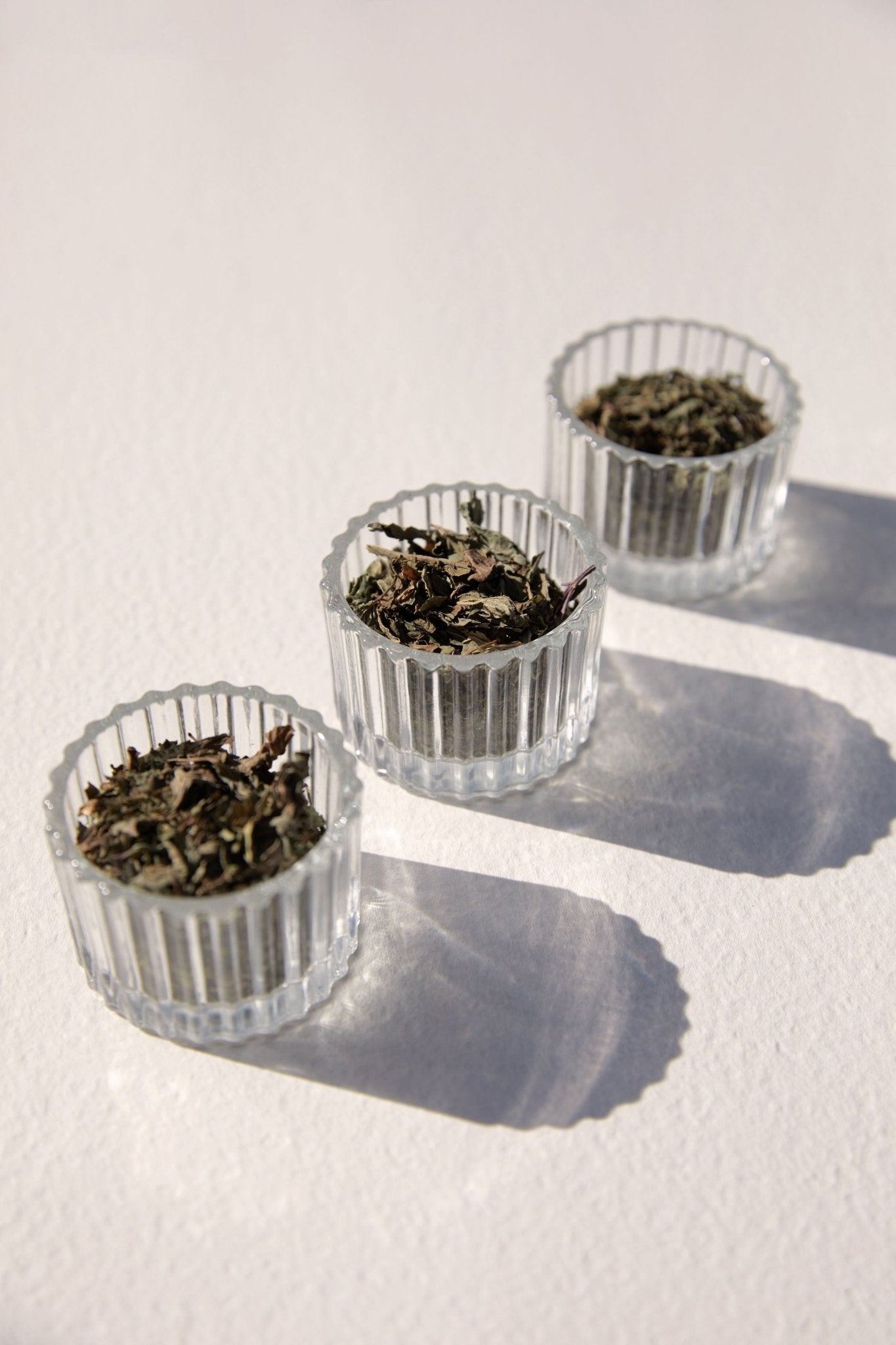 Mint - Tea & Tonic Matakana - On Sundays