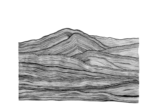 Mt Tamahunga Card - Tea & Tonic Matakana - MONNI