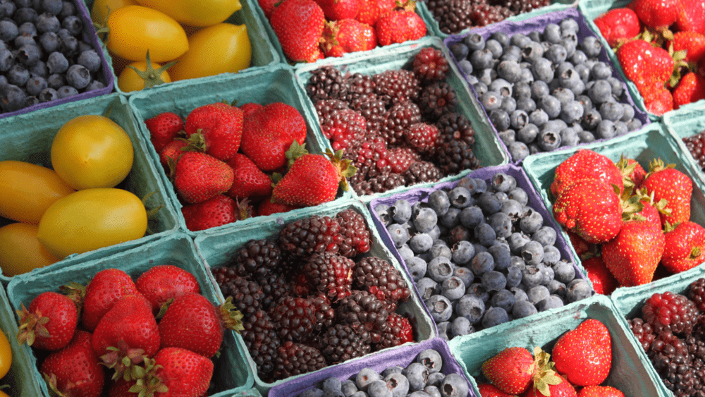 Benefits of daily juicing to help with wellness - Tea & Tonic Matakana