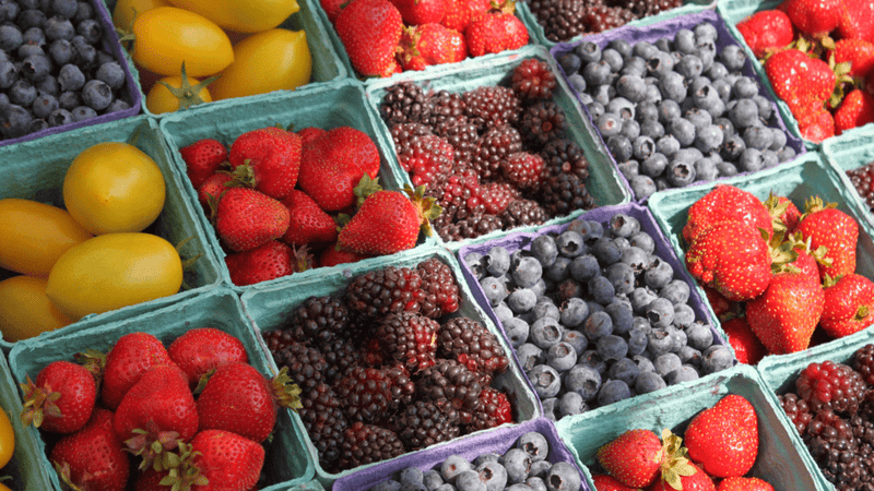 Benefits of daily juicing to help with wellness - Tea & Tonic Matakana