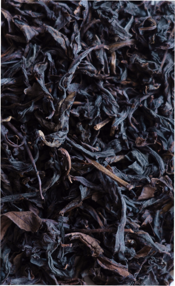 Amber & Gold Organic Loose Leaf Oolong Tea