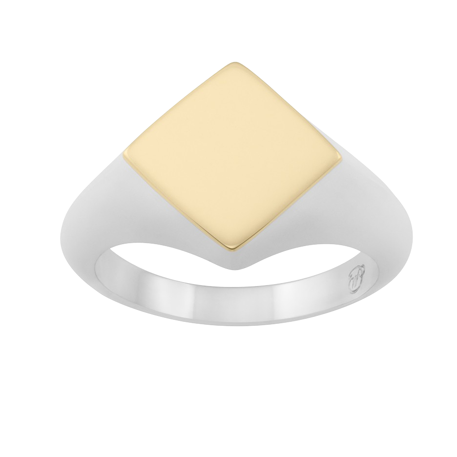 Monarc Rhembo Signet Ring | 9k Yellow Gold & Sterling Silver