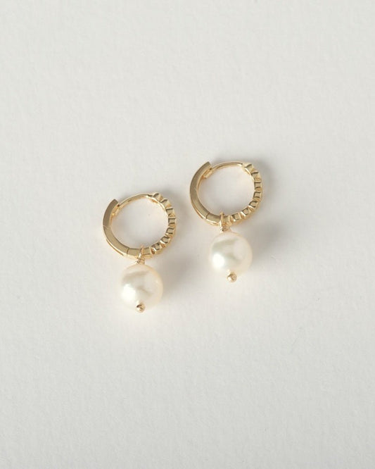 Fine La Akoya Hoops + Pearl, 14k Gold - Tea & Tonic Matakana - Charlotte Penman