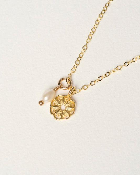 Mini Wild Necklace + Pearl, 14k Rolled Gold - Tea & Tonic Matakana - Charlotte Penman