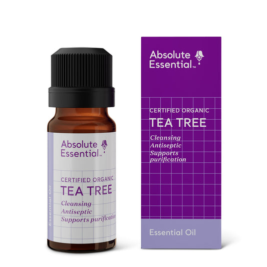 Tea Tree - Tea & Tonic Matakana - Absolute Essential